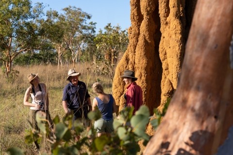 Termite-Mound-Kakadu