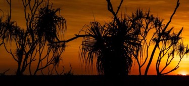 Louise’s Kakadu Experience