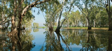 Travel and Leisure Magazine Article