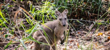 Jeff Colhoun in Kakadu