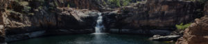 gallery-bg