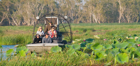 lords safaris magpie geese at bamurru plains on the ultimate luxury safari adventure
