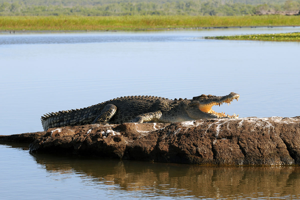 Tour – One Day Kakadu