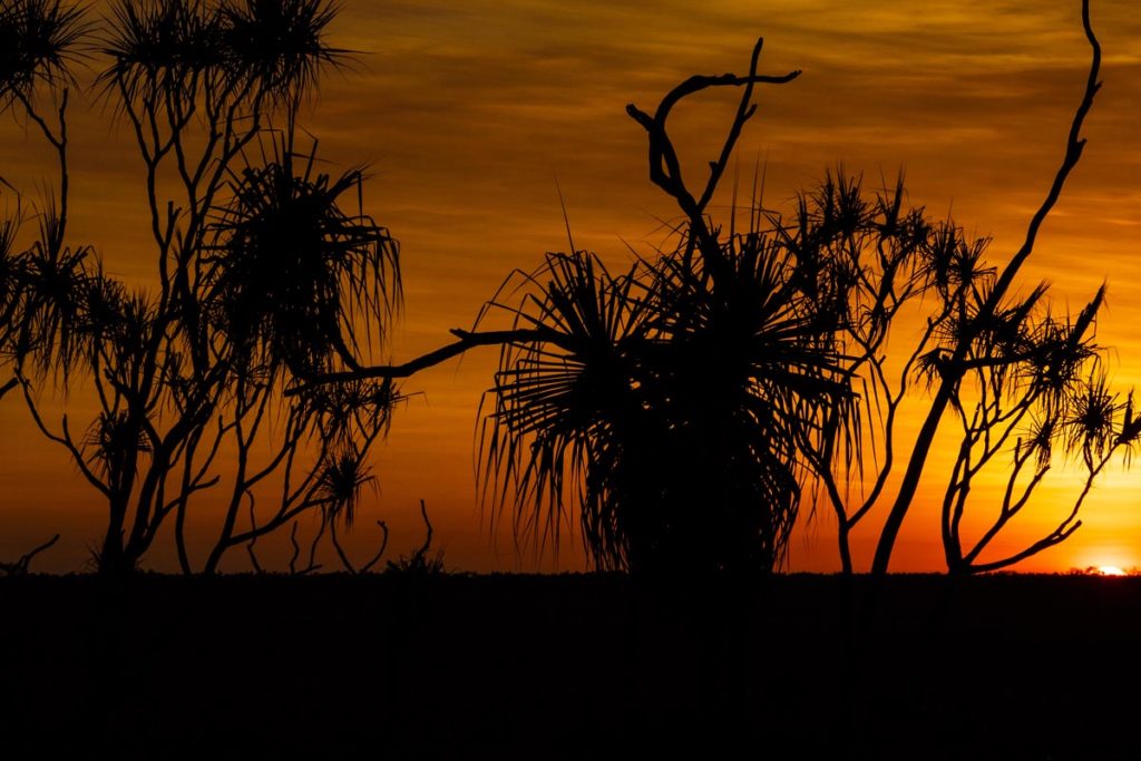 lords safaris our kakadu experience photography tour